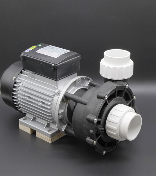 Whirlpool Pumpe 2PS