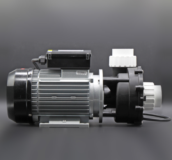 Whirlpool Pumpe 50Hz 1050W (WP150-II)