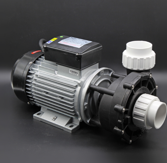 Whirlpool Pumpe 50Hz 1050W (WP150-II)