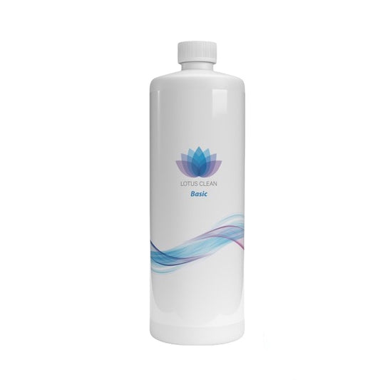 Lotus Clean Basic