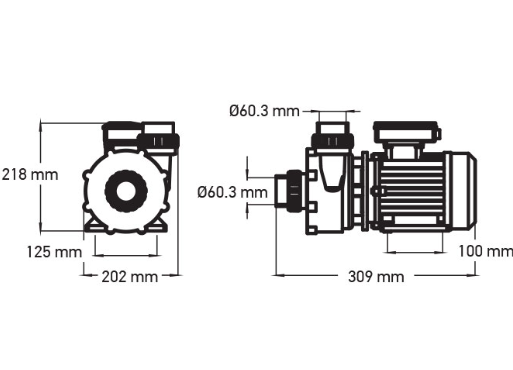 Whirlpool Pumpe 3 PS